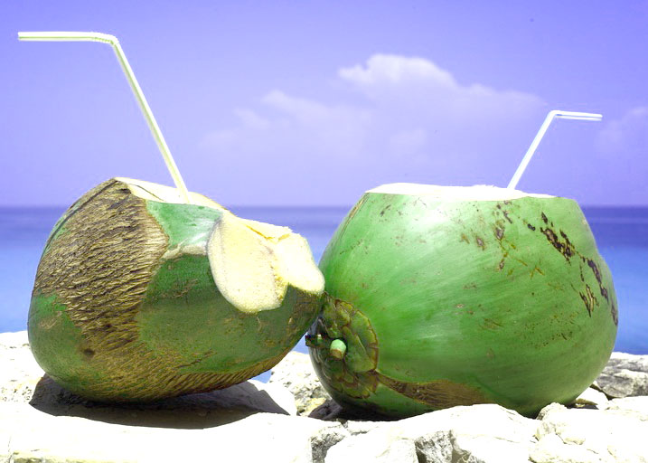 Image result for नारियल पानी-