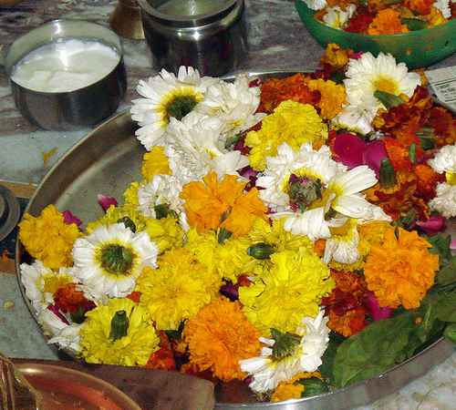 aathmiyam ,  flowers ,  pooja , ആത്മീയം ,  പുഷ്പങ്ങള്‍ ,  പൂക്കള്‍ ,  പൂജ