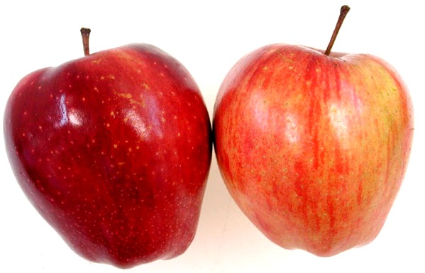 Two apples per day