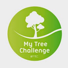 my tree challenge
