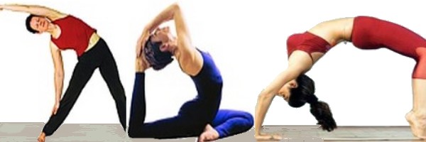 Image result for योग और व्यायाम