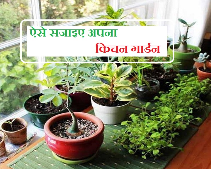 आस न स लग ए य 6 प ध और घर, Home Vegetable Garden Ideas In Hindi