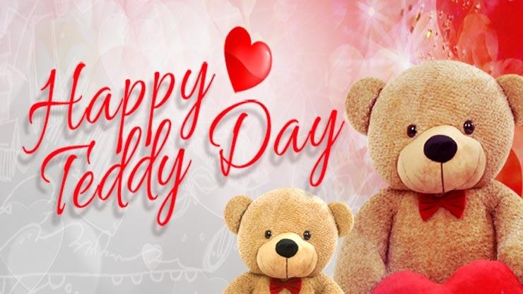 Top 25 Sweet Awesome Lovely Romantic Happy Teddy Day 2014 Shayari SMS  Quotes Messages In Hindi Urdu For Facebook And Whatsapp  BMS  Bachelor  of Management Studies Unofficial Portal