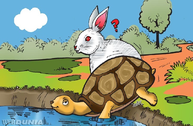 Rabbit and tortoise Story