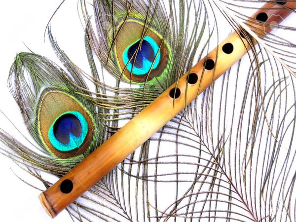 Flute_Peacock Feather